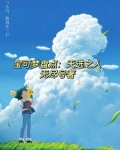 小智的z