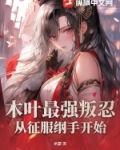 木叶之纲手老公