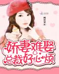 娇妻难追总裁的心尖宠