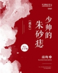 少帅的朱砂痣重生 南