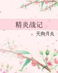 精炎战记 聚合中文网