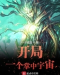开局一个掌中宇宙