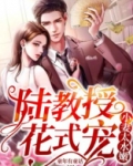 小妻好甜:陆引入怀