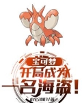 宝可梦我的精灵全员恶人小说黑羽