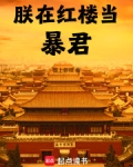 朕在红楼当暴君免费阅读