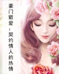 豪门契约爱情小说
