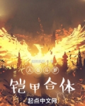 人在斗罗，铠甲合体