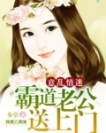 电视剧意乱情迷简介