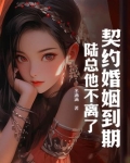 《契约婚宠 陆家太太不好当》