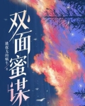 双面阴谋