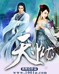 天Q片