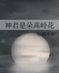 神君是朵高岭花
