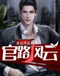 官路风云林海小说