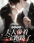 顾总,夫人又闹离婚啦