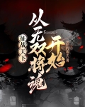 征战天下:从无双将魂开始小说