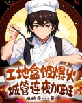 工地盒饭爆火,城管连夜加班小说txt