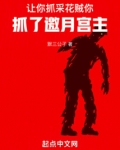 让你抓采花贼,你抓了邀月宫主