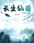 长生仙葫小说无弹窗