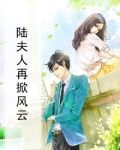 小说陆夫人