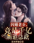 闪婚老公,竟是千亿霸道总裁季修寒的小说