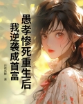 愚孝男小说