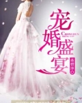 宠婚小说阅读