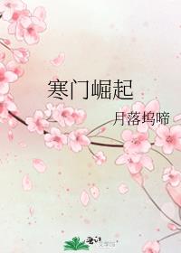 寒门崛起朱平安笔趣阁免费