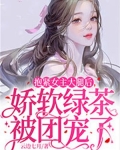 抱紧女主大腿[穿书gl]txt