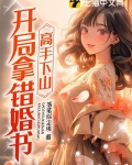 高手下山:开局拿错婚书 第509章