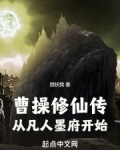 曹操穿越小说