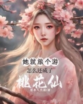 开局即巅峰是什么意思