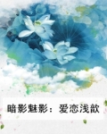 幻影 暗夜魅惑