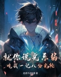 假如八分光轮有等级