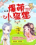 爆萌仙狐全文免费阅读