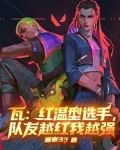 瓦:红温型选手,队友越红我越强的作者是什么身份