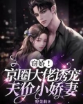 窃宠的意思