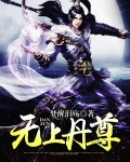 无上丹尊梦醒泪殇境界
