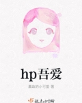 hp吾爱 嬴政的小可爱