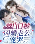 领证同居后,日日被闪婚老公宠哭下载