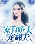 家有娇夫 ...