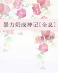 暴力奶妈txt