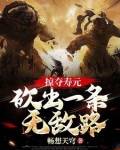 掠夺矿产