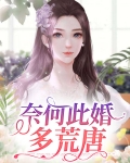 奈何爱情多荒唐小说