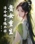 贵女佛系日常
