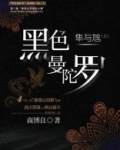 serge lutens黑色曼陀罗