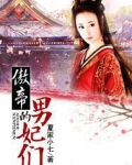 傲帝的男妃们全文免费读