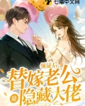 替嫁新娘隐婚老公宠上天