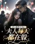 惹上腹黑少爷后,夫人每天都在躲避
