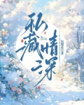 私藏情深完整版