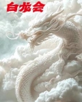 白龙会组织简介